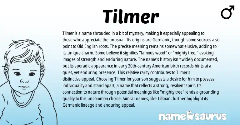Infographic about Tilmer name meaning, Tilmer is a name from Germanic origin(s).