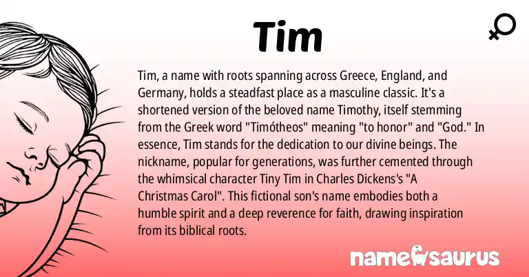 Infographic about Tim name meaning, Tim is a name from Greek, English, German, Dutch origin(s).