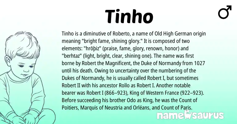 Infographic about Tinho name meaning, Tinho is a name from Old High German origin(s).