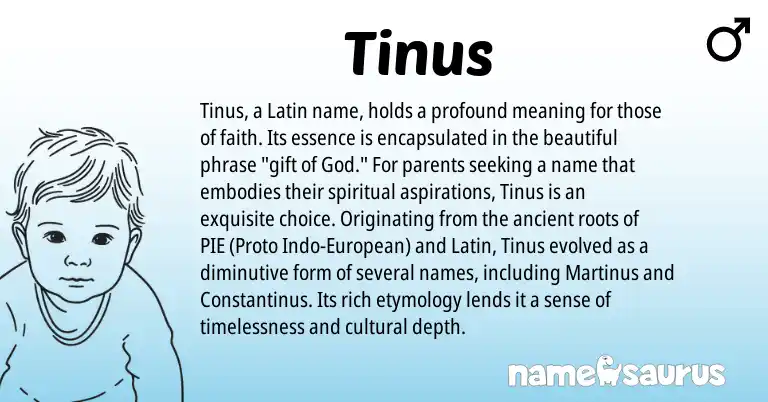 Infographic about Tinus name meaning, Tinus is a name from Latin, European origin(s).