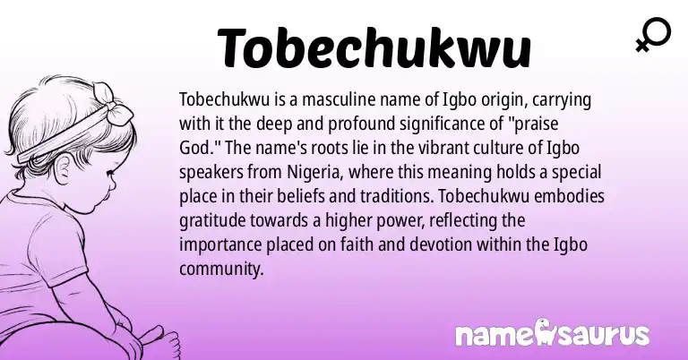 Infographic about Tobechukwu name meaning, Tobechukwu is a name from Igbo origin(s).