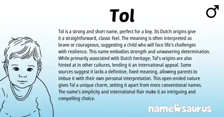 Infographic about Tol name meaning, Tol is a name from Dutch origin(s).