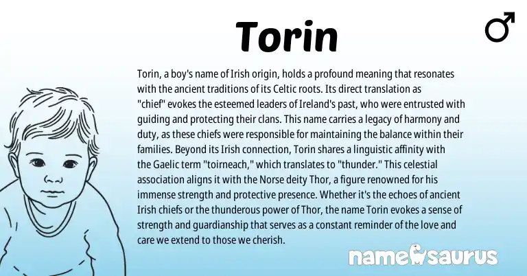 Infographic about Torin name meaning, Torin is a name from Irish, Ireland, Gaelic, Celtic, Norse origin(s).