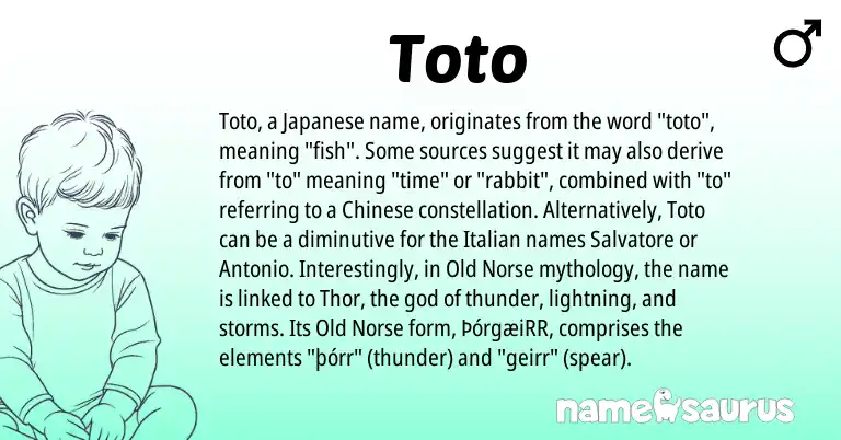 Infographic about Toto name meaning, Toto is a name from Chinese, Old Norse, Japanese, Italian origin(s).