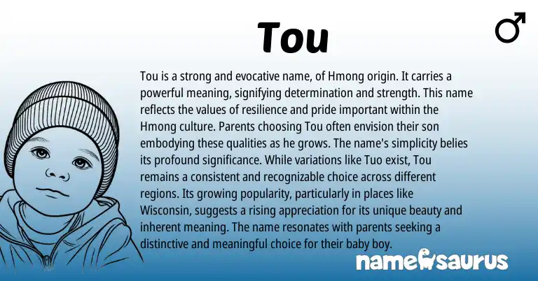 Infographic about Tou name meaning, Tou is a name from Hmong origin(s).