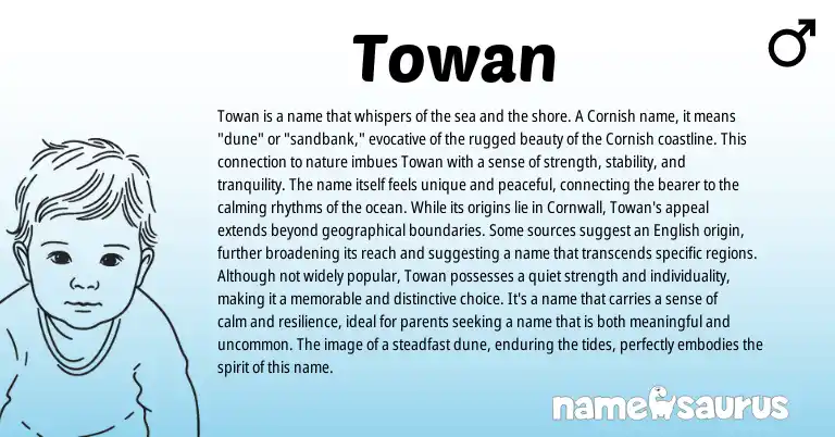 Infographic about Towan name meaning, Towan is a name from Cornish origin(s).