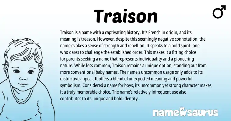 Infographic about Traison name meaning, Traison is a name from French, American origin(s).