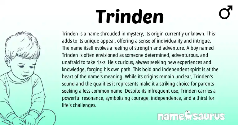 Infographic about Trinden name meaning, Trinden is a name from Other origin(s).