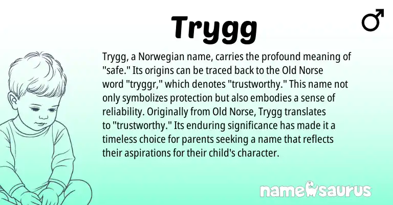 Infographic about Trygg name meaning, Trygg is a name from Norwegian, Old Norse origin(s).