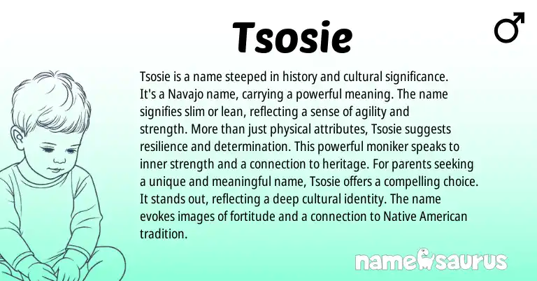 Infographic about Tsosie name meaning, Tsosie is a name from Navajo, American origin(s).