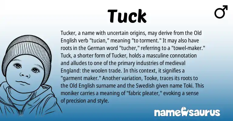 Infographic about Tuck name meaning, Tuck is a name from Old English, Swedish, German, England origin(s).