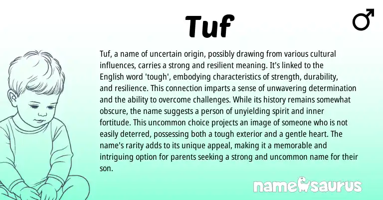 Infographic about Tuf name meaning, Tuf is a name from English origin(s).