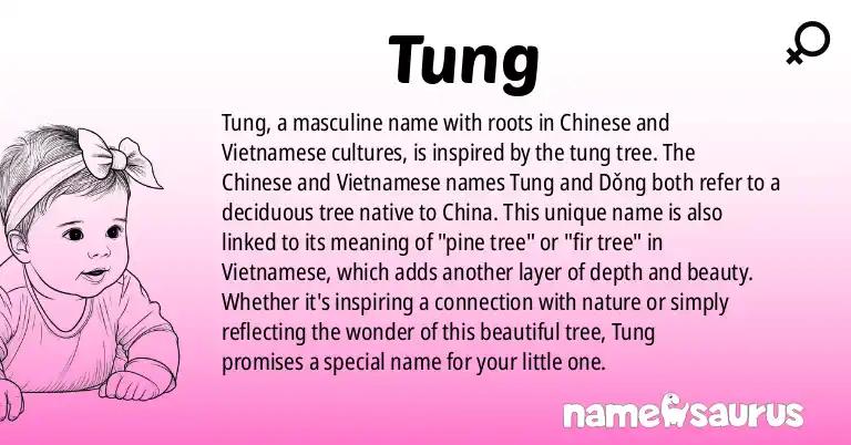 Infographic about Tung name meaning, Tung is a name from Chinese, Vietnamese origin(s).