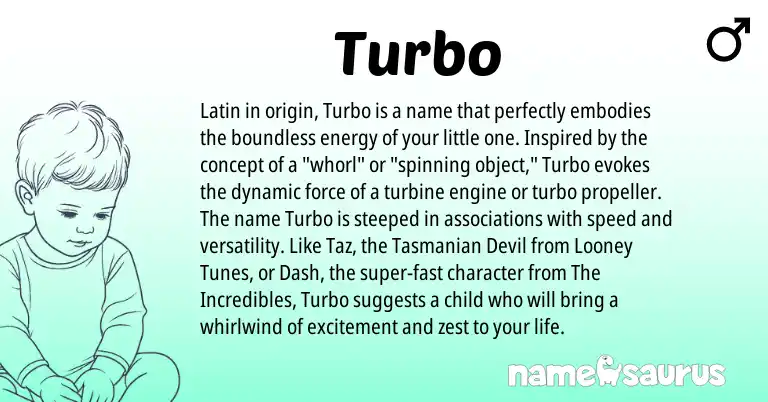 Infographic about Turbo name meaning, Turbo is a name from Latin origin(s).