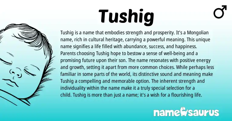 Infographic about Tushig name meaning, Tushig is a name from Mongolian origin(s).