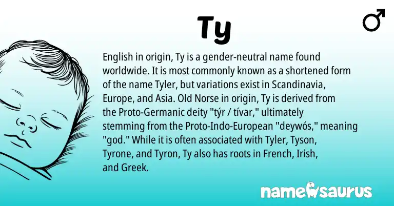 Infographic about Ty name meaning, Ty is a name from Irish, Old Norse, English, European, French, Germanic, Greek origin(s).