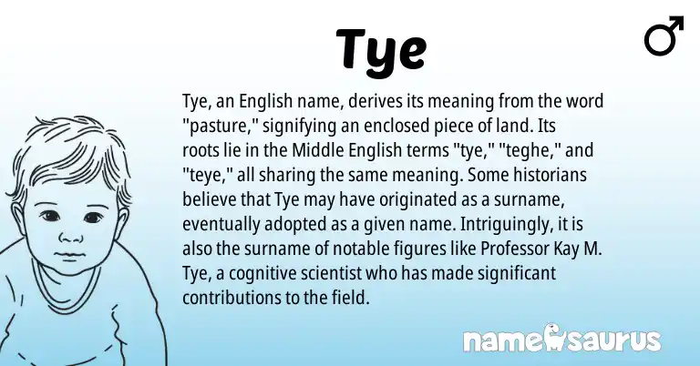 Infographic about Tye name meaning, Tye is a name from Middle English, English origin(s).