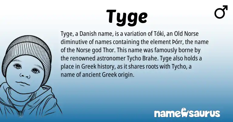 Infographic about Tyge name meaning, Tyge is a name from Old Norse, Greek, Danish, Norse origin(s).