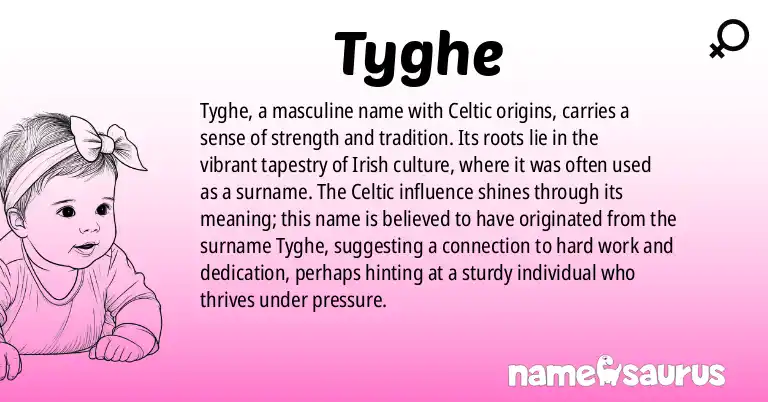 Infographic about Tyghe name meaning, Tyghe is a name from Celtic origin(s).