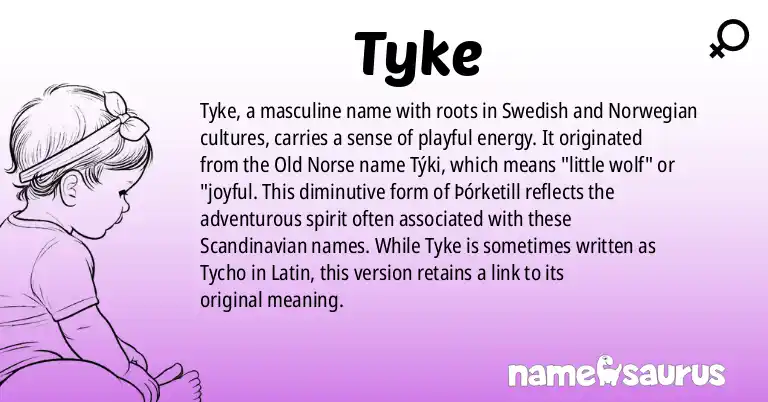 Infographic about Tyke name meaning, Tyke is a name from Swedish, Norwegian origin(s).