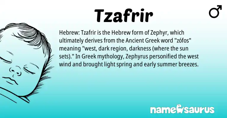 Infographic about Tzafrir name meaning, Tzafrir is a name from Ancient Greek, Hebrew, Greek origin(s).