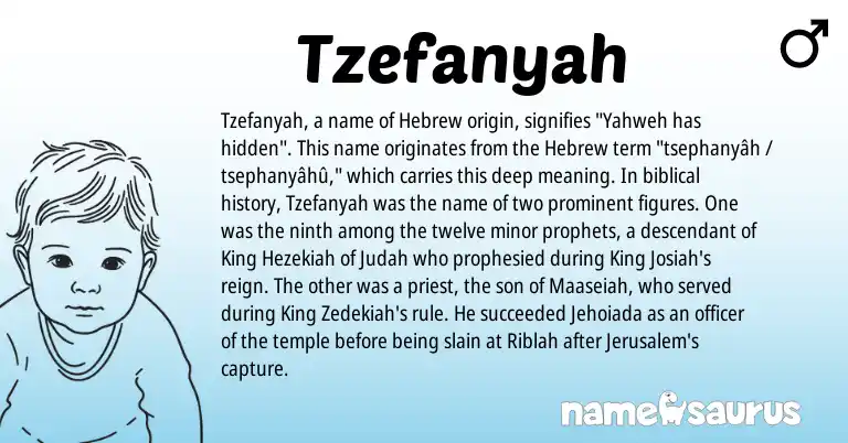 Infographic about Tzefanyah name meaning, Tzefanyah is a name from Hebrew origin(s).