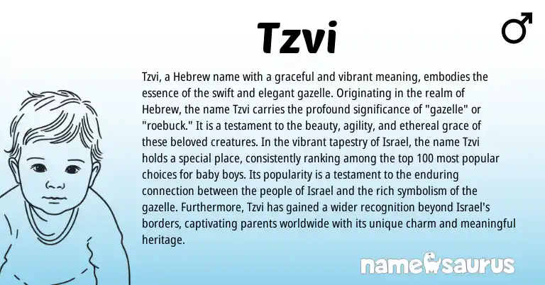Infographic about Tzvi name meaning, Tzvi is a name from Hebrew origin(s).