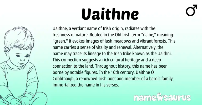 Infographic about Uaithne name meaning, Uaithne is a name from Irish, Old Irish origin(s).