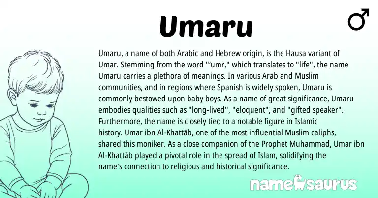 Infographic about Umaru name meaning, Umaru is a name from Hausa, Spanish, Arabic, Hebrew, Muslim origin(s).