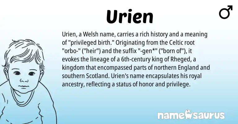 Infographic about Urien name meaning, Urien is a name from Welsh, Celtic, England origin(s).