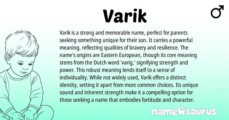 Infographic about Varik name meaning, Varik is a name from Dutch origin(s).