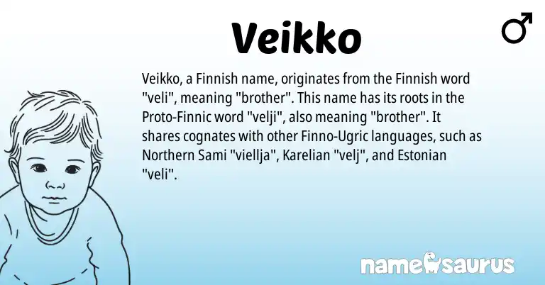 Infographic about Veikko name meaning, Veikko is a name from Finnish, Karelian, Estonian, Sami origin(s).