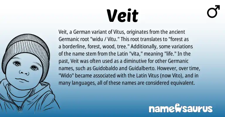 Infographic about Veit name meaning, Veit is a name from German, Germanic, Latin origin(s).