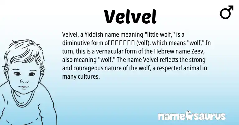 Infographic about Velvel name meaning, Velvel is a name from Yiddish, Hebrew origin(s).