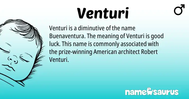 Infographic about Venturi name meaning, Venturi is a name from American origin(s).