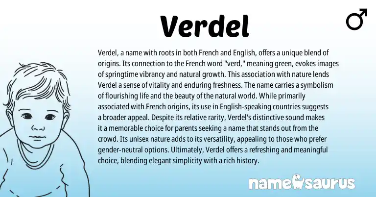 Infographic about Verdel name meaning, Verdel is a name from French origin(s).