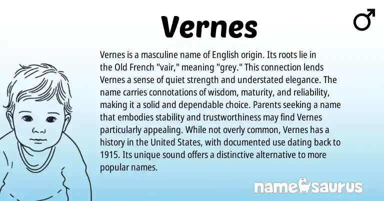 Infographic about Vernes name meaning, Vernes is a name from French, English origin(s).