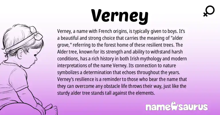 Infographic about Verney name meaning, Verney is a name from French origin(s).
