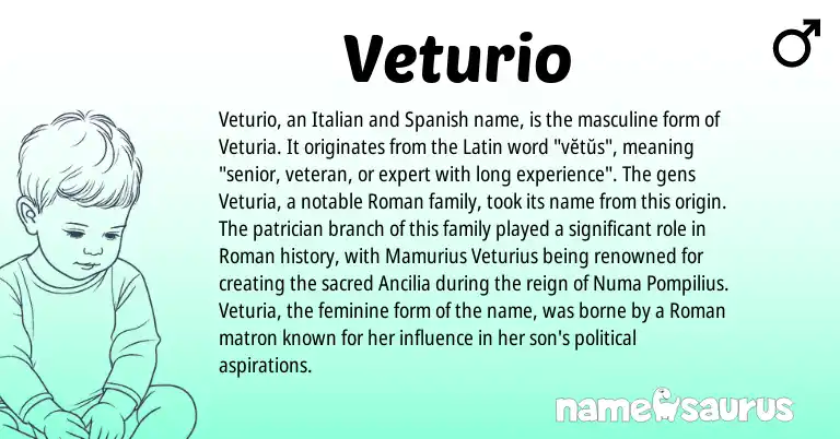 Infographic about Veturio name meaning, Veturio is a name from Roman, Spanish, Latin, Italian origin(s).