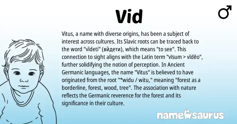 Infographic about Vid name meaning, Vid is a name from Slavic, Germanic, Latin, Ancient Germanic origin(s).