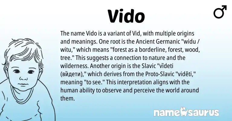 Infographic about Vido name meaning, Vido is a name from Slavic, Ancient Germanic origin(s).