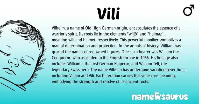 Infographic about Vili name meaning, Vili is a name from Old High German, German, English, Swiss origin(s).