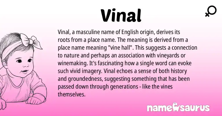 Infographic about Vinal name meaning, Vinal is a name from English origin(s).