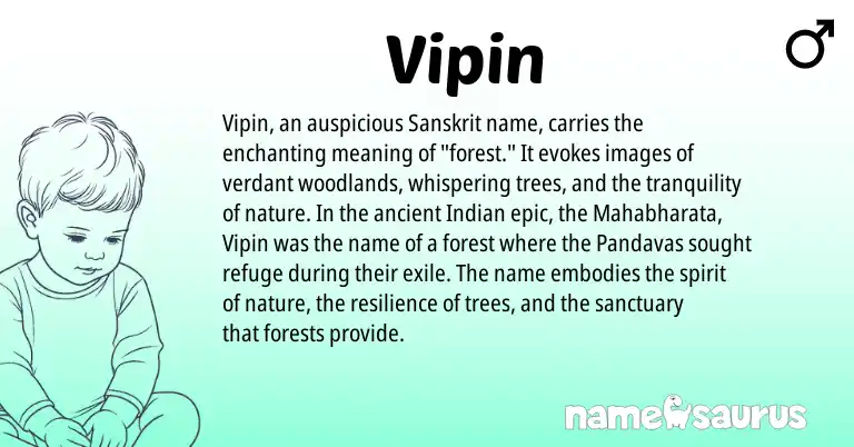 Infographic about Vipin name meaning, Vipin is a name from Sanskrit, Indian origin(s).