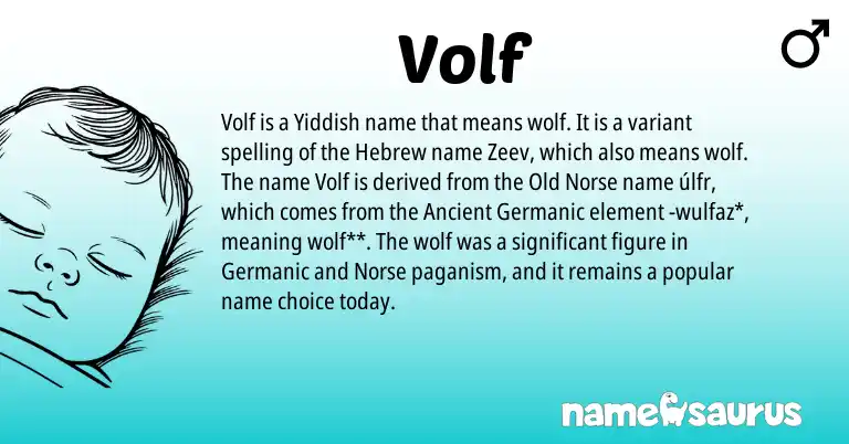 Infographic about Volf name meaning, Volf is a name from Old Norse, Ancient Germanic, Germanic, Yiddish, Hebrew, Norse origin(s).