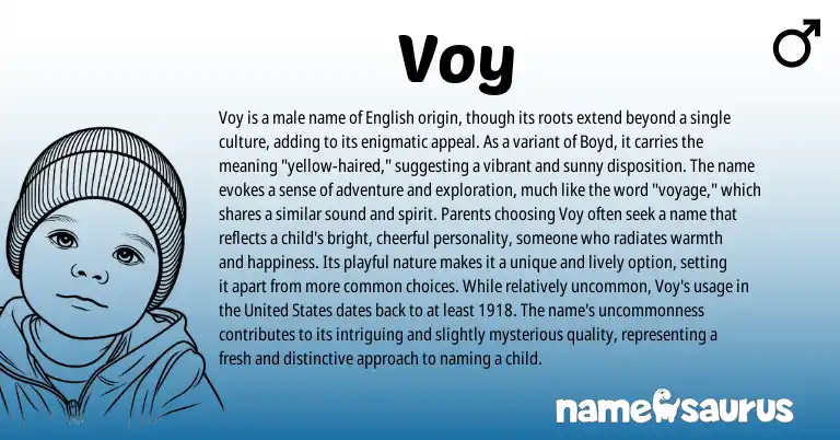 Infographic about Voy name meaning, Voy is a name from English origin(s).