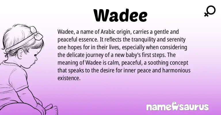 Infographic about Wadee name meaning, Wadee is a name from Arabic origin(s).
