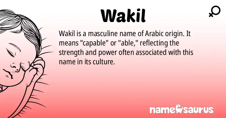 Infographic about Wakil name meaning, Wakil is a name from N/A origin(s).