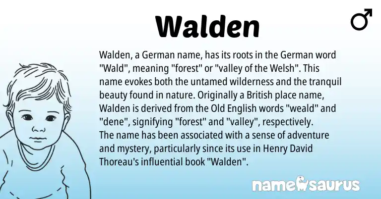 Infographic about Walden name meaning, Walden is a name from German, British, Welsh, Old English origin(s).
