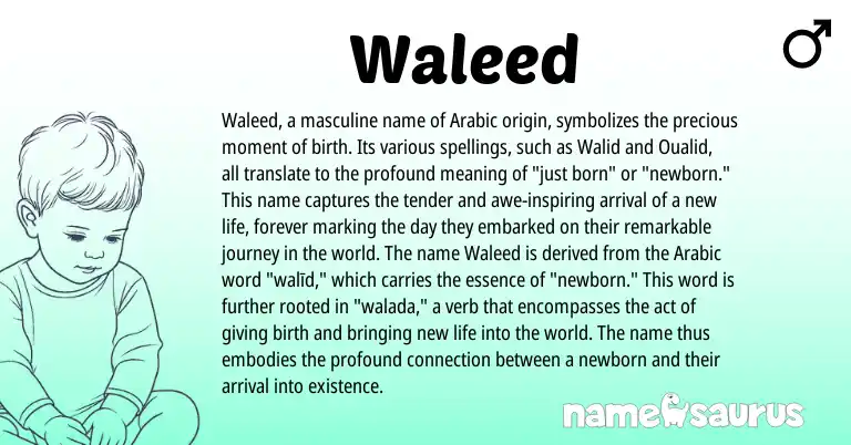 Infographic about Waleed name meaning, Waleed is a name from Arabic origin(s).